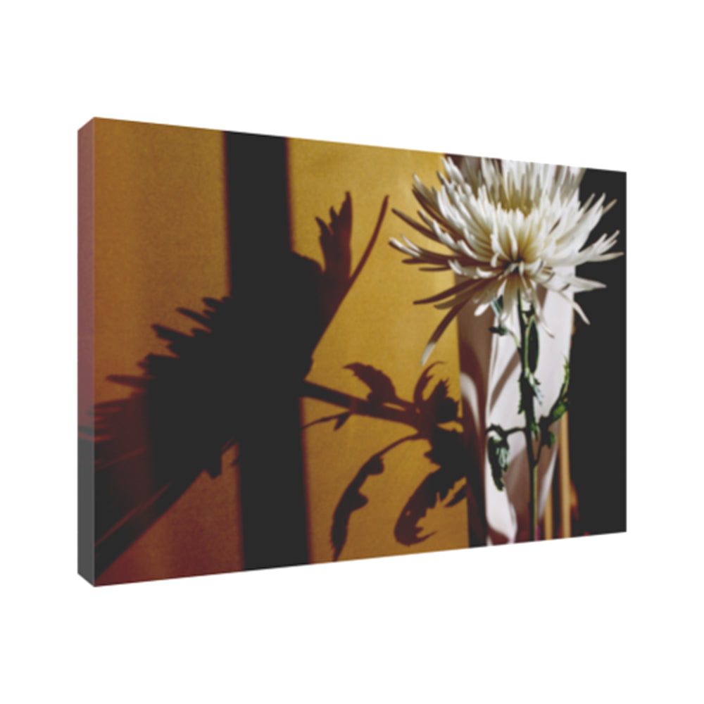 'Chrysanthemum No. 1 ' Canvas