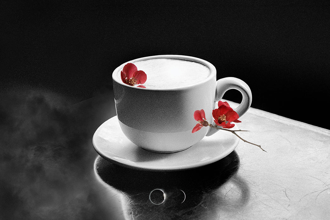 'Coffeeclipse Phase 1' Canvas