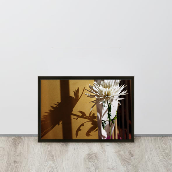 'Chrysanthemum No. 1' Framed Print